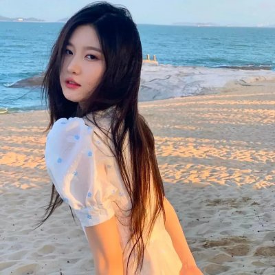 东方秃鹰